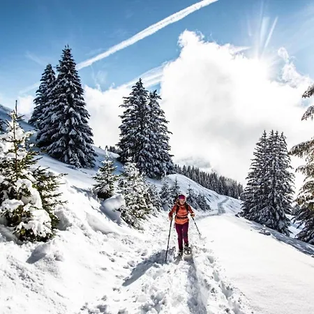 Veronica Vr51 Nature & Mountain 6 Pers Διαμέρισμα Châtel