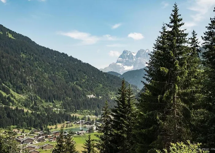 Veronica Vr51 Nature & Mountain 6 Pers