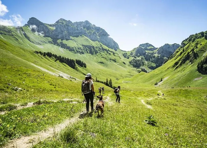Veronica Vr51 Nature & Mountain 6 Pers